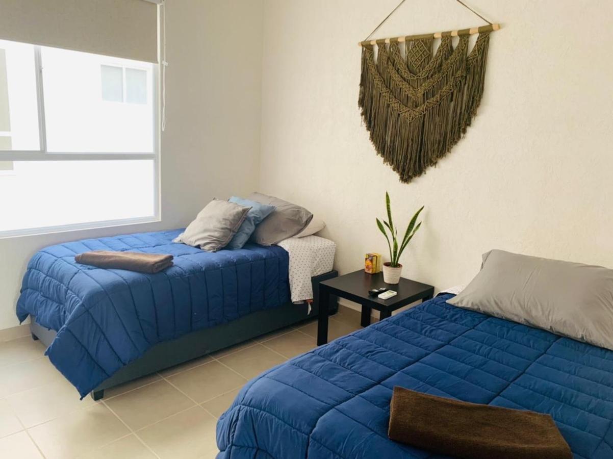 Franks House Apartment "Shared House" Cancún Exteriér fotografie